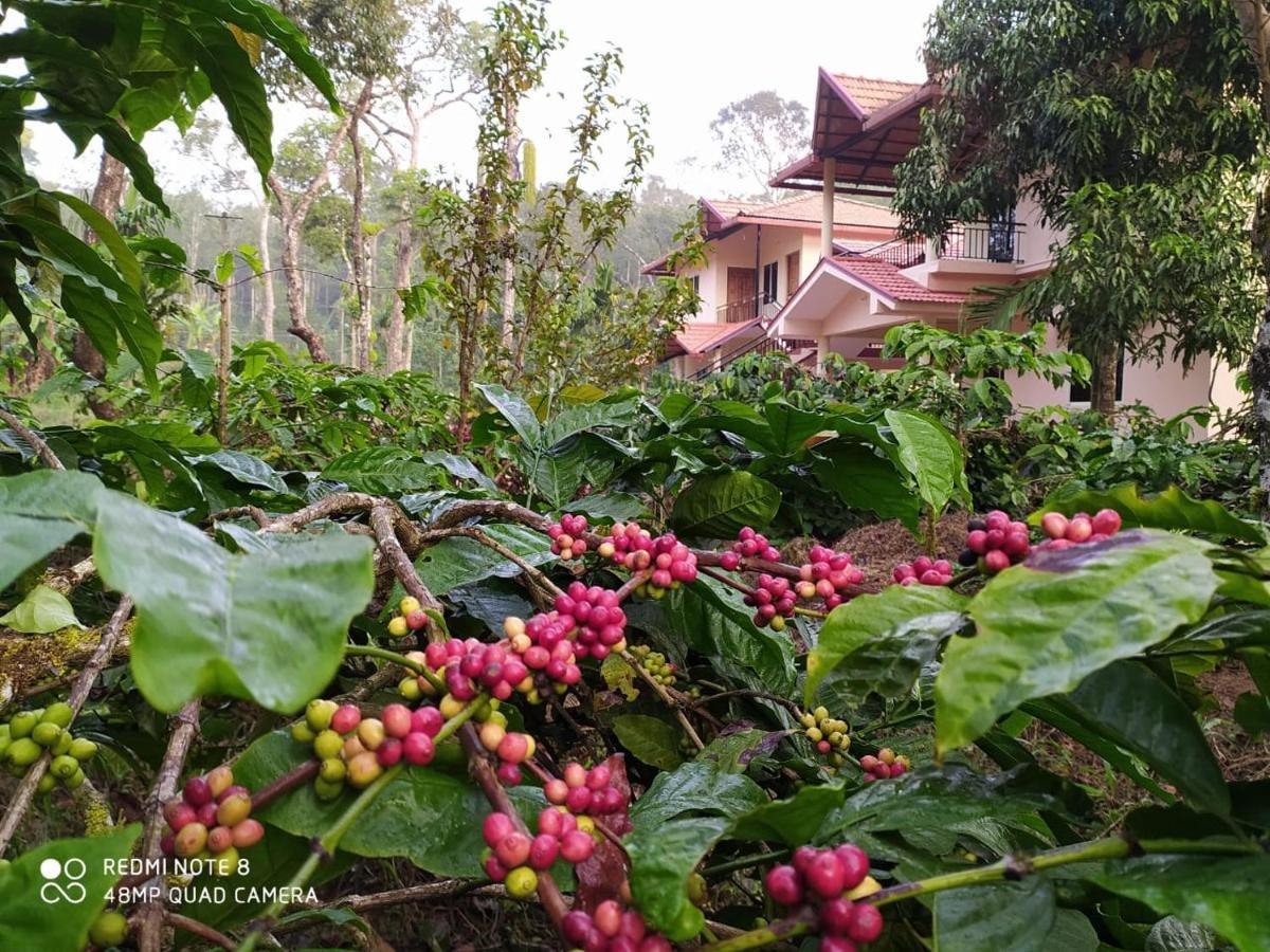Wanders In Travel Company Hotel Madikeri Kültér fotó