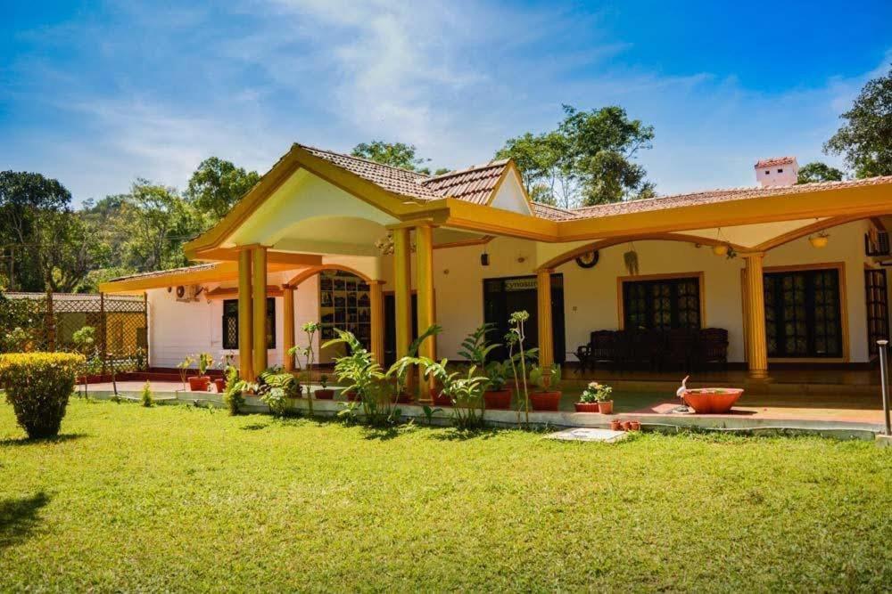 Wanders In Travel Company Hotel Madikeri Kültér fotó